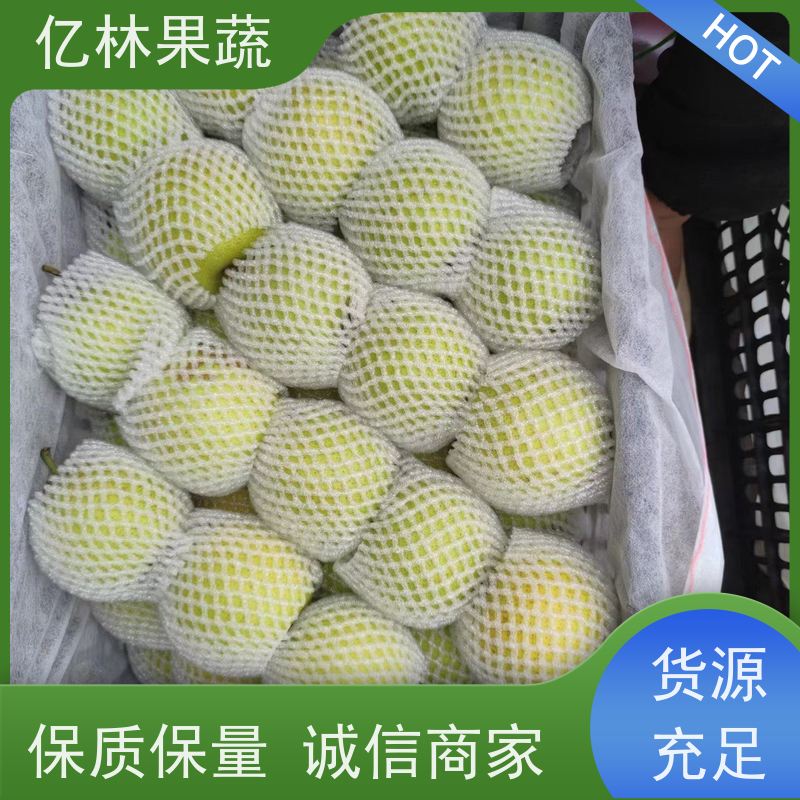 基地供应 丰水梨树苗 成活率高 新品种梨苗 香甜可口