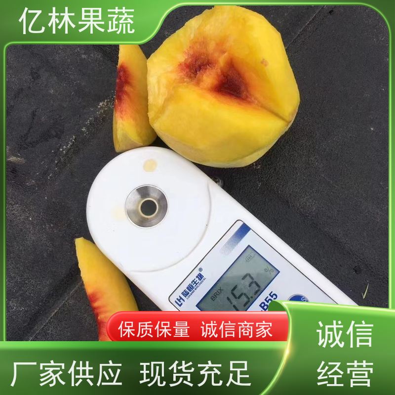 亿林苗木 砀山酥梨树苗 果实饱满味道好 晚熟品种梨 口感脆甜