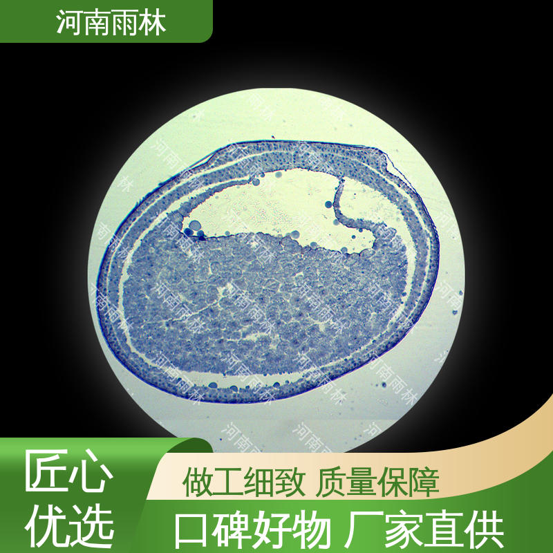 雨林教育工程 质量保障 性价比高 支持定制 教学切片