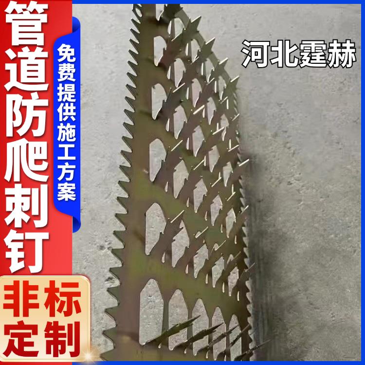 霆赫 燃气管道防爬刺 镀锌刺钉 防小偷防鼠围墙排水管防盗刺 坚固实用