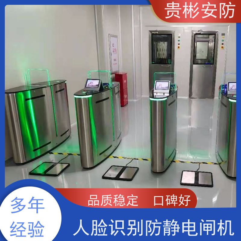 贵彬安防 电子厂车间 防静电摆闸 人行通道闸 性价比高
