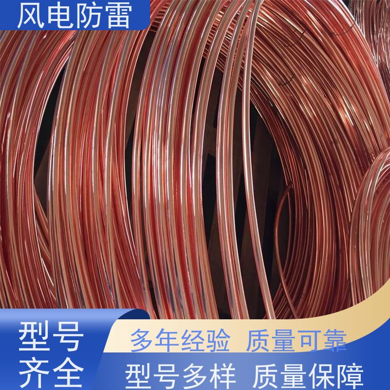 风电防雷 厂 家出售 价美物优 特殊非 金 属材料 25*4mm镀铜扁钢