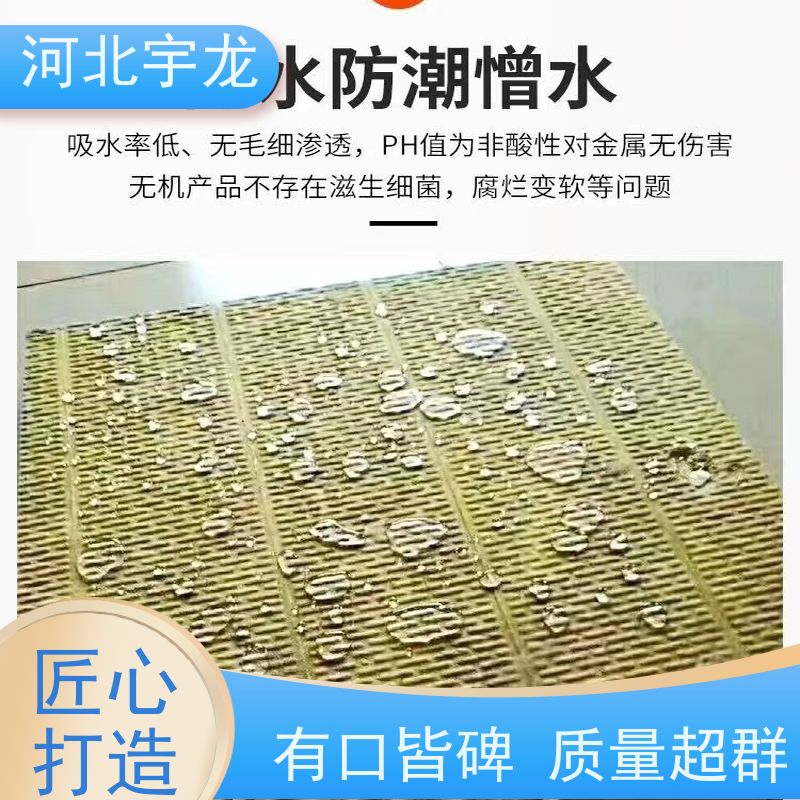  建筑外墙 1200*600*60*90kg 保温隔热 隔音屋顶墙体50mm 