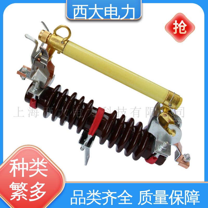 RW11-12 轻巧耐用 安装灵活 防风型熔断器 西大电力