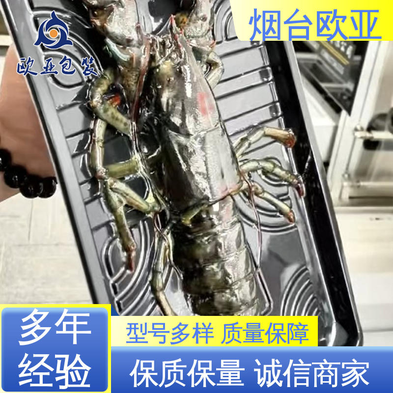 美观保鲜 长久锁鲜 沙林贴体膜 规格多样 欧亚包装