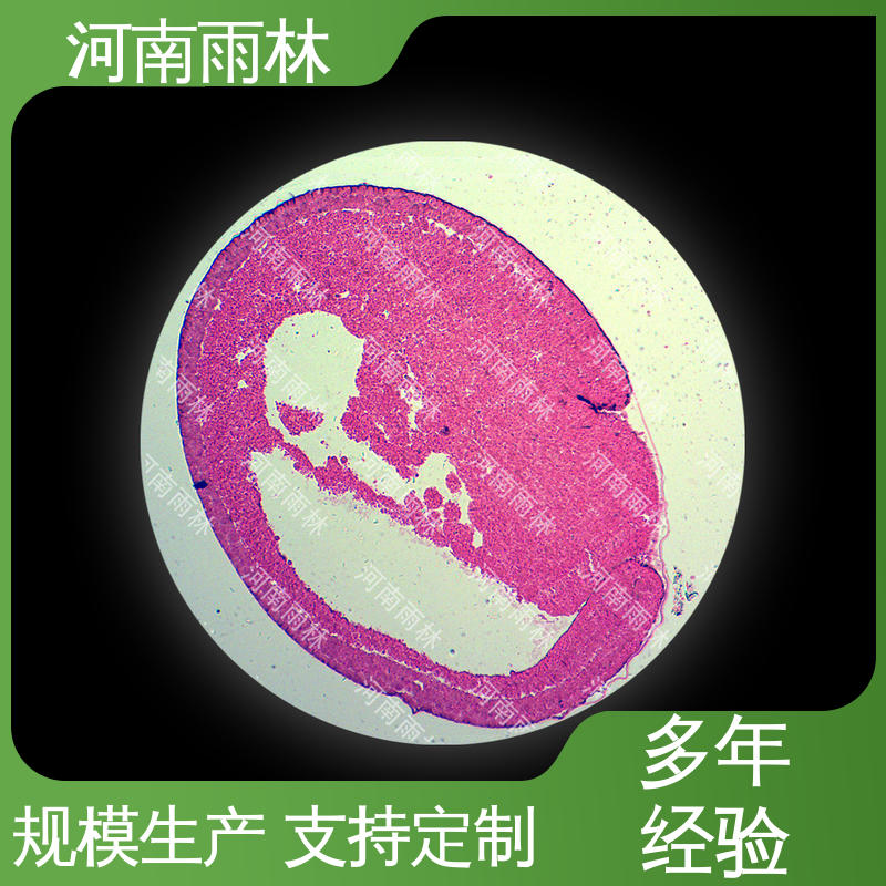 质量保障 性价比高 病害标本 支持定制 雨林教育工程