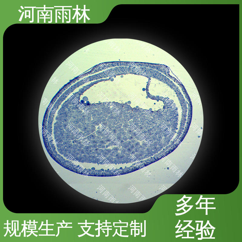 性价比高 植物病害标本 支持定做 雨林教育工程