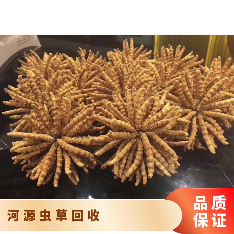 虫草回收行情价格 附近24小时可上门收购档口