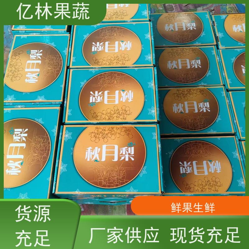 亿林苗木 基地培育 嫁接技术指导 抗寒能力强 丰水梨树苗