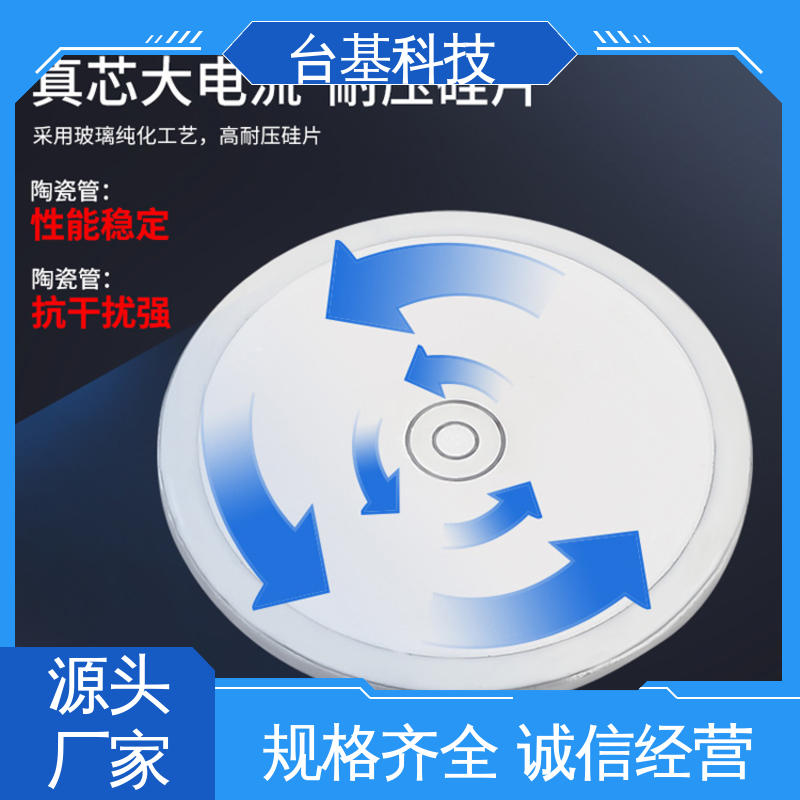 全扩散工艺外壳 平板整流管 ZP-3000A CTAIJI台基
