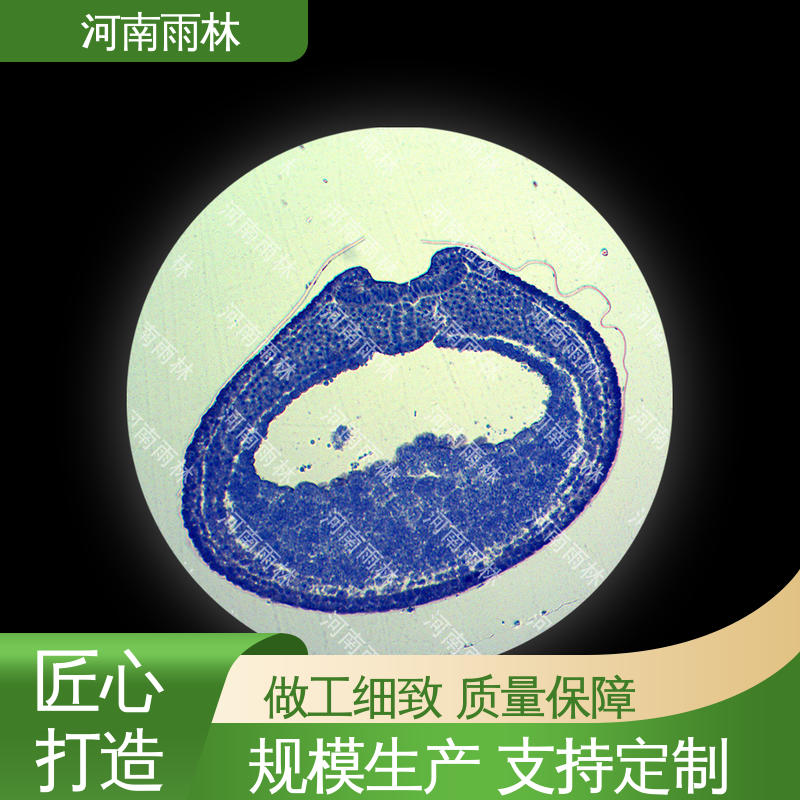 支持定做 质量保障 教学切片 性价比高 雨林教育
