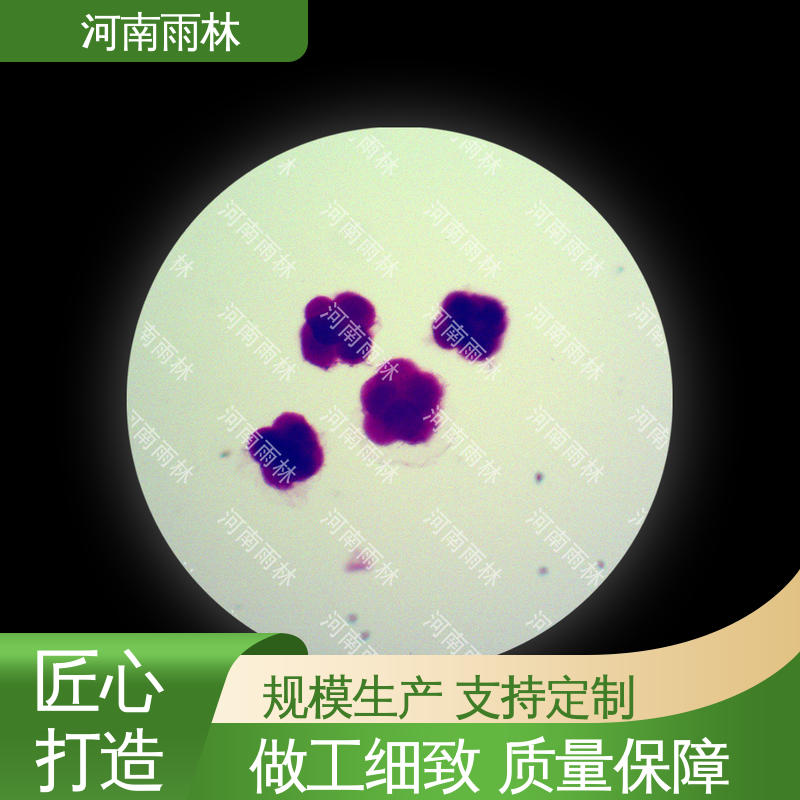 性价比高 支持定做 质量保障 植物病害标本 雨林教育工程
