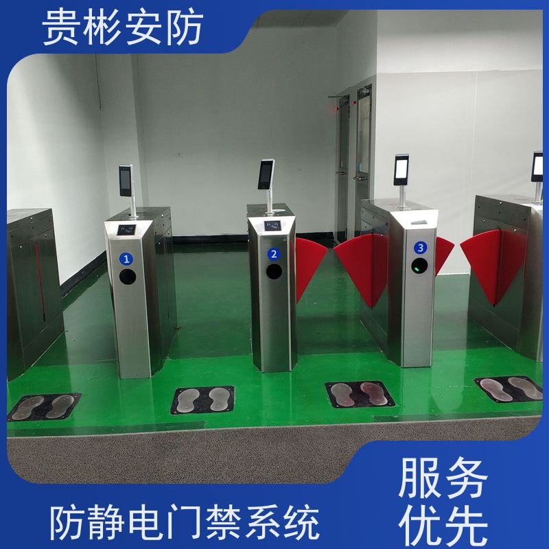 贵彬安防 无尘车间电子厂静电翼闸 双脚人体综合测试仪 供货及时