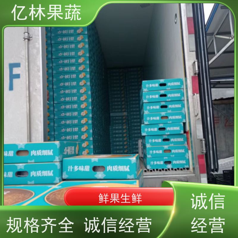 亿林苗木 黄桃苗 嫁接技术指导 抗寒能力强 果实饱满味道好