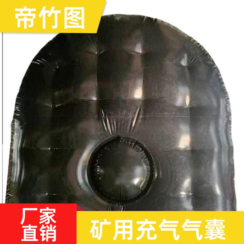 帝竹图 巷港堵漏 煤矿封闭用充气气袋 气囊式快速密闭门 生产供应