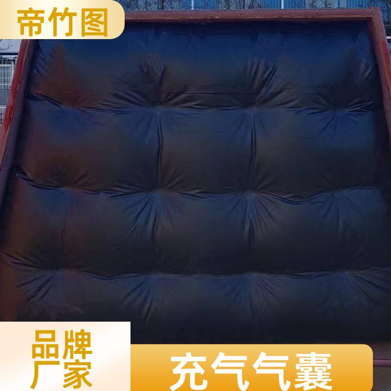 帝竹图 可更换气嘴 快速封堵气囊 快速气囊封闭 实力工厂