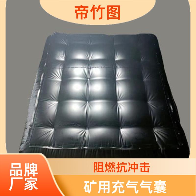 可更换气嘴 充气气囊 气囊式快速密闭门 厂家供应 帝竹图