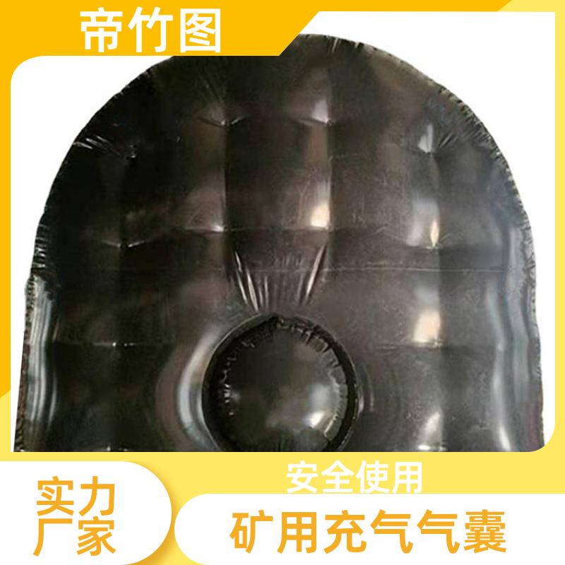 帝竹图 巷港堵漏 充气气囊 快速气囊封闭 长期供应