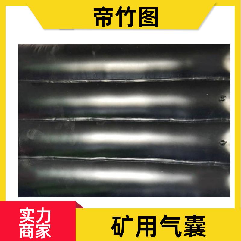 帝竹图 巷港堵漏 充气气囊 快速气动一体式密闭 批发厂家