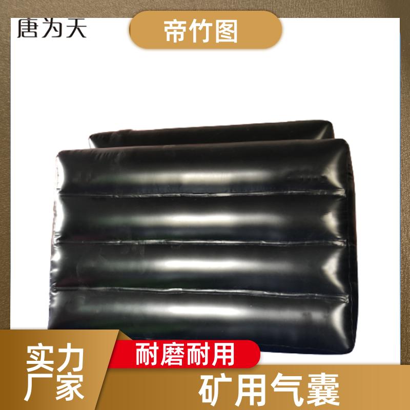 帝竹图 可更换气嘴 充气气囊 气囊式快速密闭门 长期供应