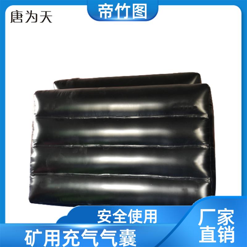 帝竹图 可更换气嘴 上下隅角封堵气囊 气囊式快速密闭门 供货厂家