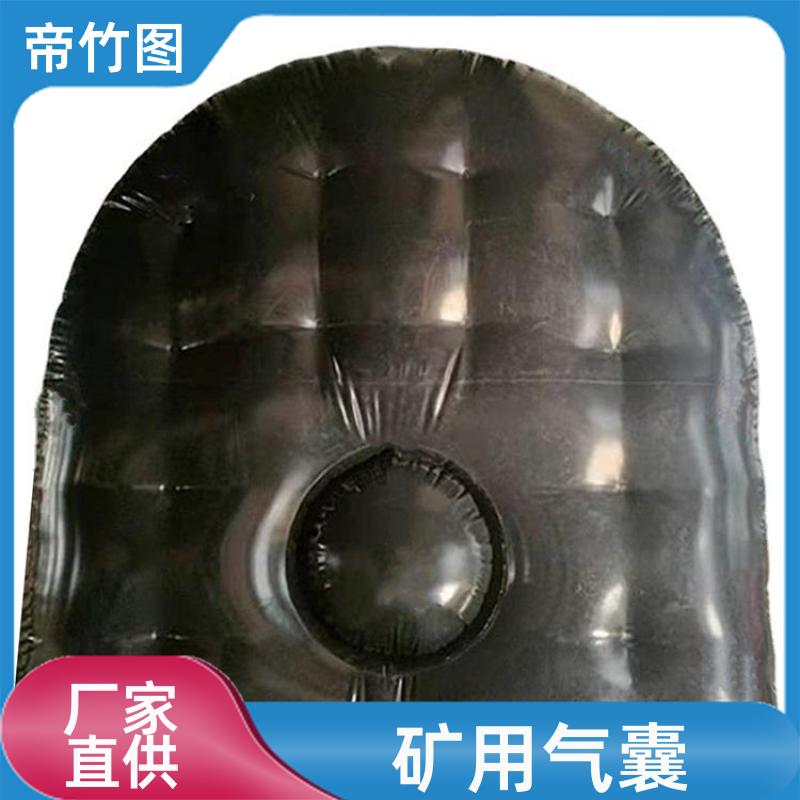 帝竹图 巷港堵漏 快速封堵气囊 气囊式快速密闭门 供货厂家