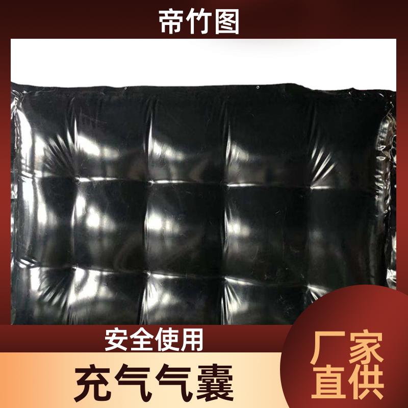 可更换气嘴 快速封堵气囊 一体式快速密闭 供货厂家 帝竹图