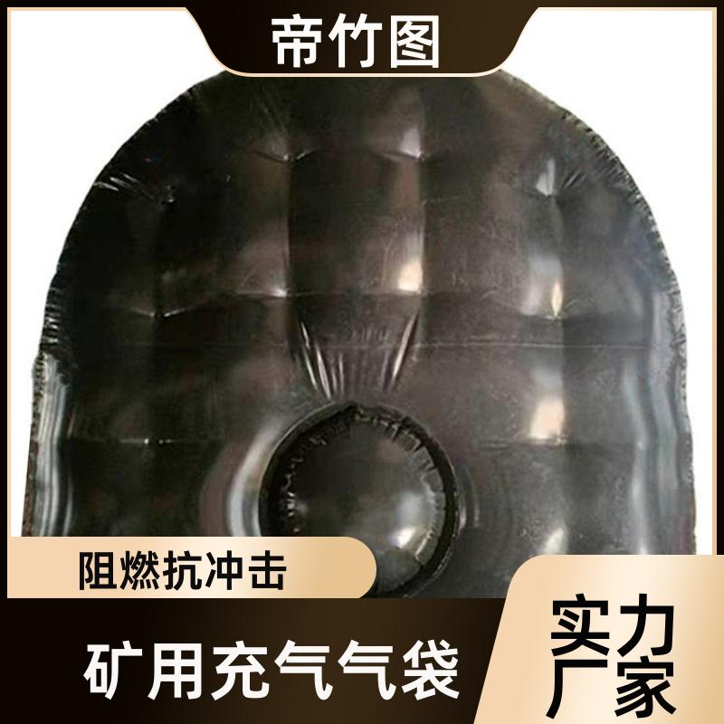 可更换气嘴 阻燃气垛 气囊式快速密闭门 供货厂家 帝竹图