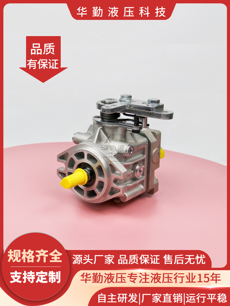 实力商家，一站式服务 1吨压路机行走泵 产品齐全 TOMIW液压