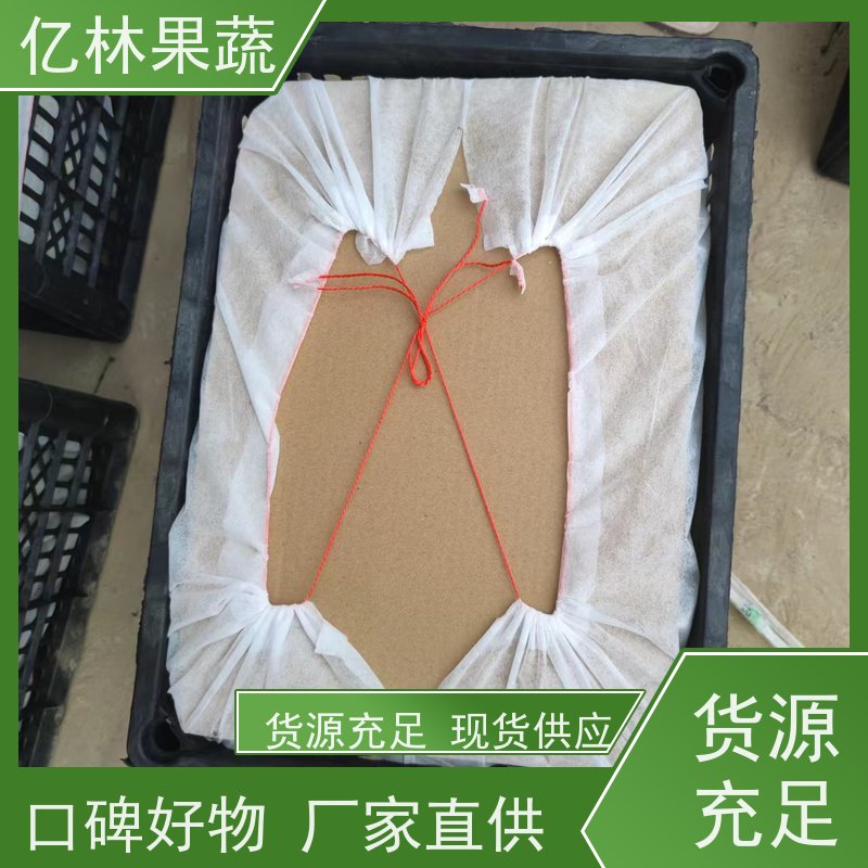 亿林苗木 冬桃苗 园林绿化果树苗 抗寒能力强 果实饱满味道好