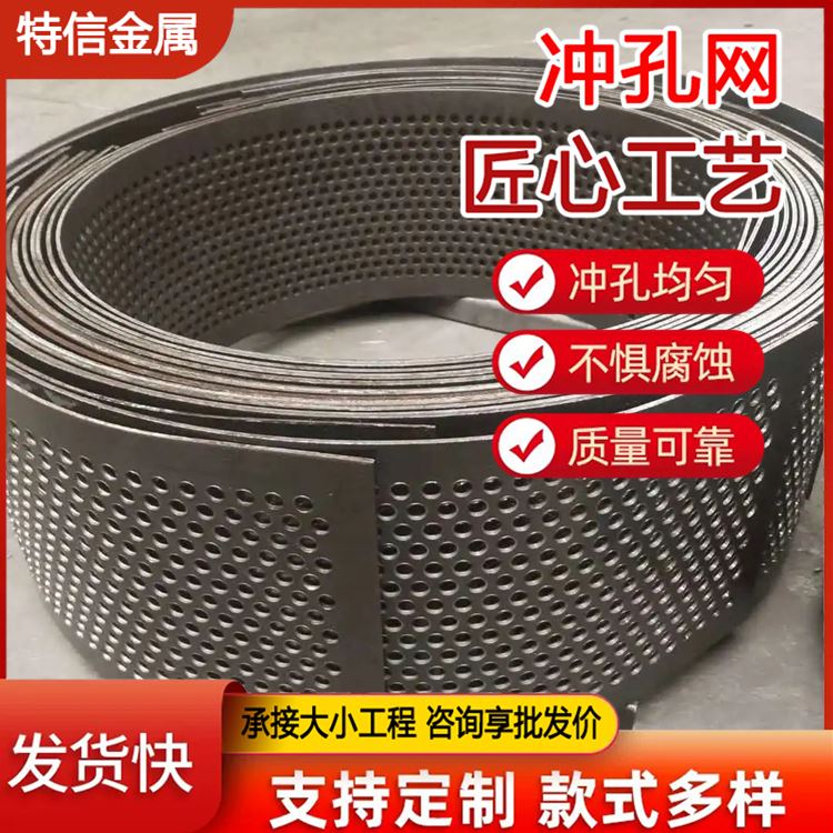 特信金属 经久耐用 圆孔冲孔网 重型钢板网 微穿孔板的孔径 支持定制