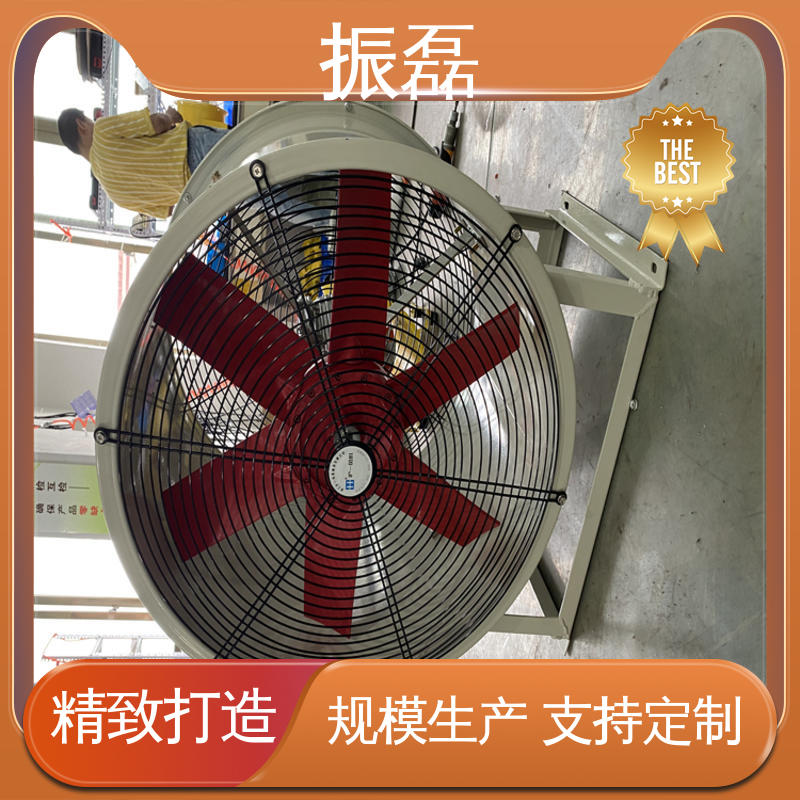 畜牧场用通风换气扇 安装方便 地库厂房 BSFT防爆轴流风机 振磊