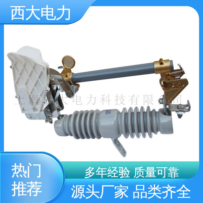 限流熔断器 支持根据图纸定做 HPRWG2-35 西大电力