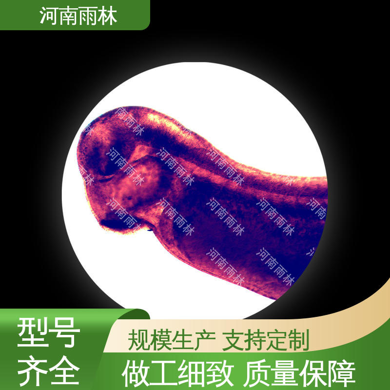雨林教育工程 性价比高 质量保障 显微标本 厂家销售