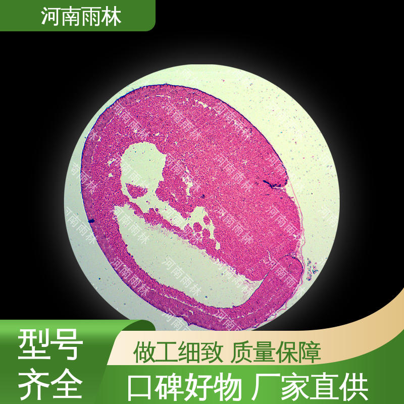 售后无忧 质量保障 生物切片 厂家销售 雨林教育工程