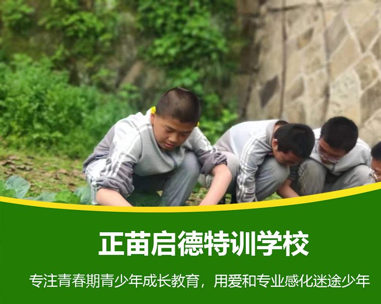 广西贵港叛逆期孩子正规教育励志学校 叛逆期孩子改造特训学校