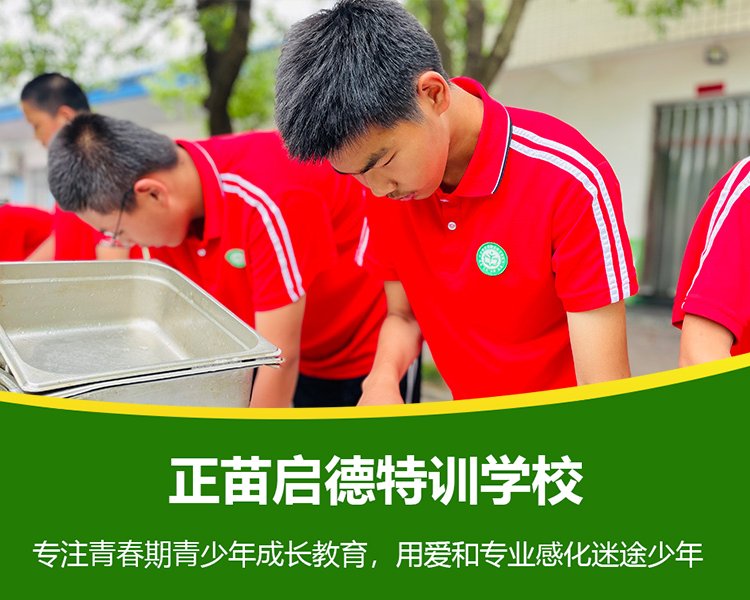如何引导孩子主动学习