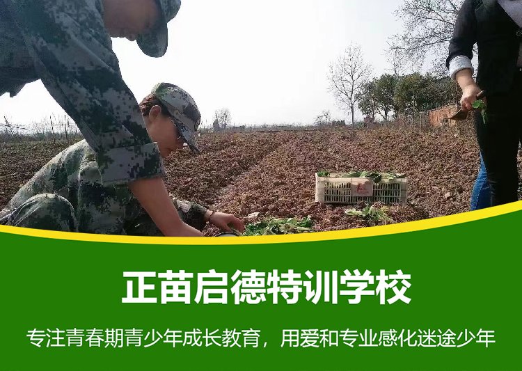 青少年叛逆心理矫正学校，孩子叛逆期早恋家长怎么做？