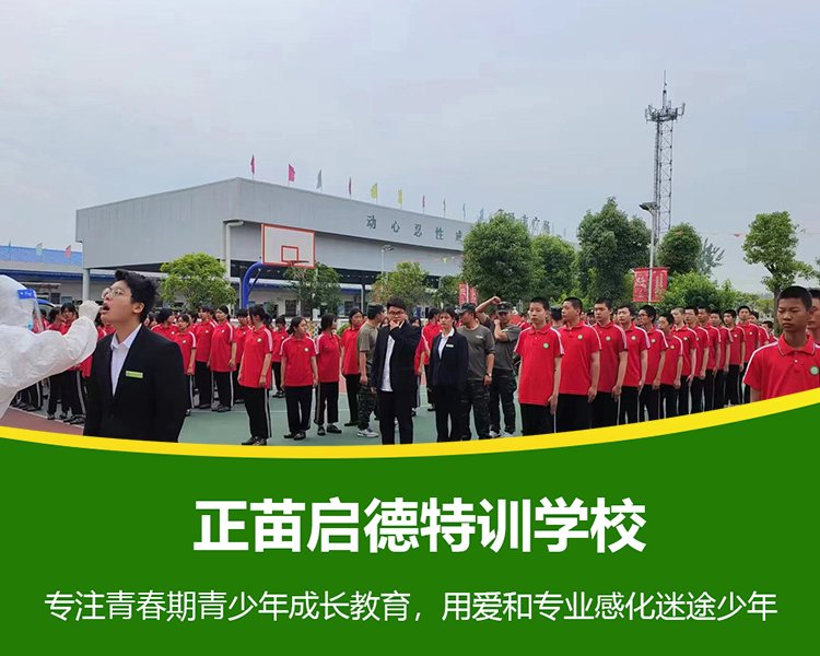 如何让孩子学会与他人合作
