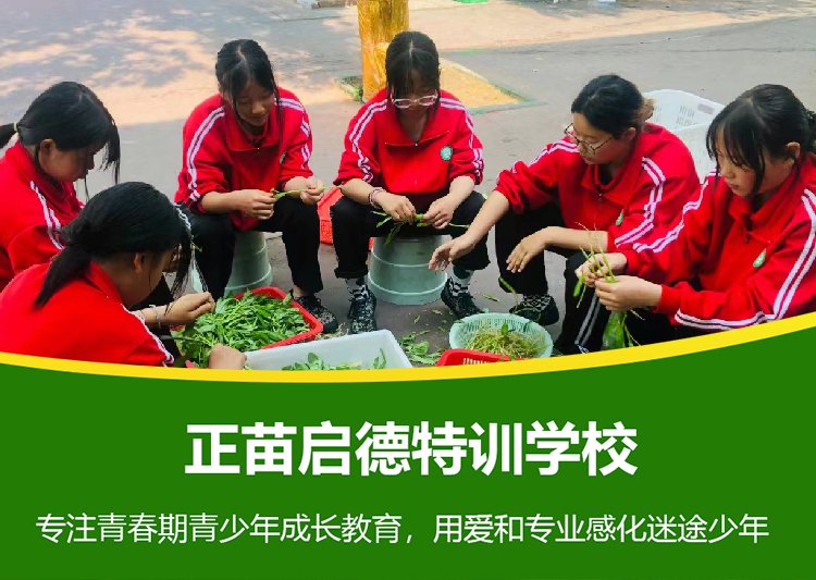 广西贵港青少年封闭式教育励志学校 青少年素质教育励志学校