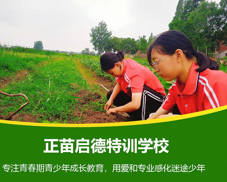 临汾叛逆孩子封闭教育学校一览，家长必看的全面指南！