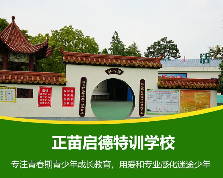 青少年厌学怎么办？