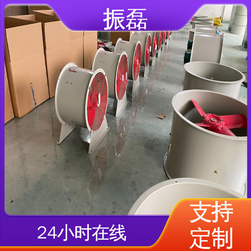 防雨防尘 地库厂房 便携移动式手提通风机 振磊