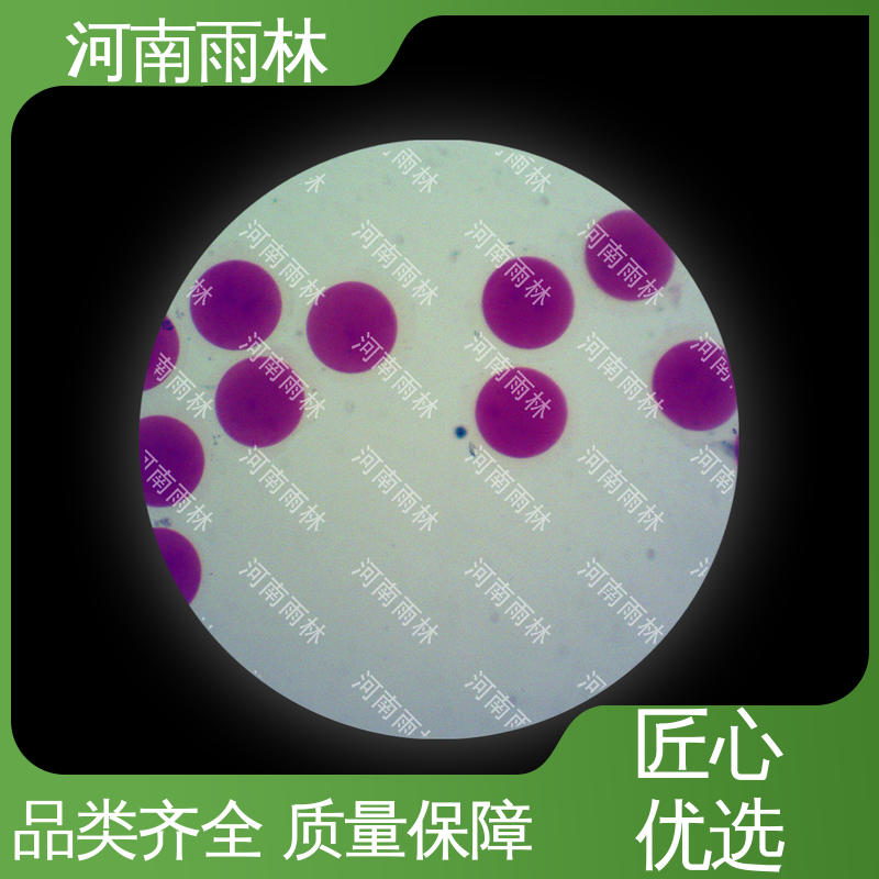 性价比高 植物病害标本 质量保障 雨林教育工程 一对一定制