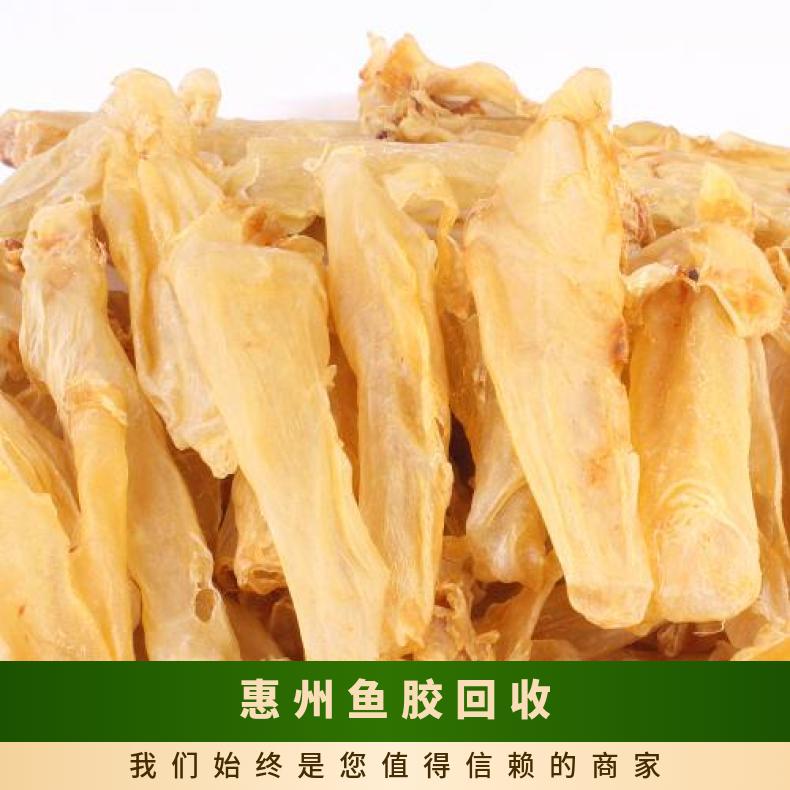 鱼胶回收 24小时为您服务 物流 自营 广泛 干燥阴凉