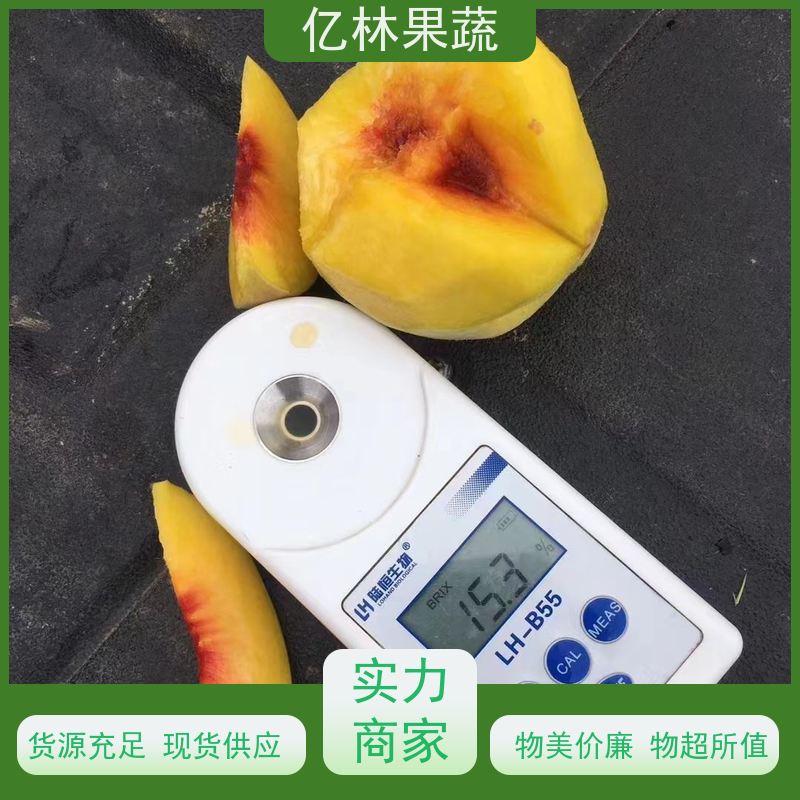 亿林苗木 黄桃苗 三公分现挖现发 品种齐全 基地直发