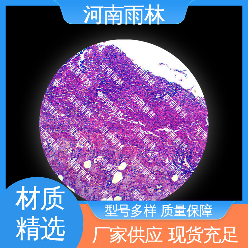 雨林教育 支持定制 高等教育 售后无忧 品质优良