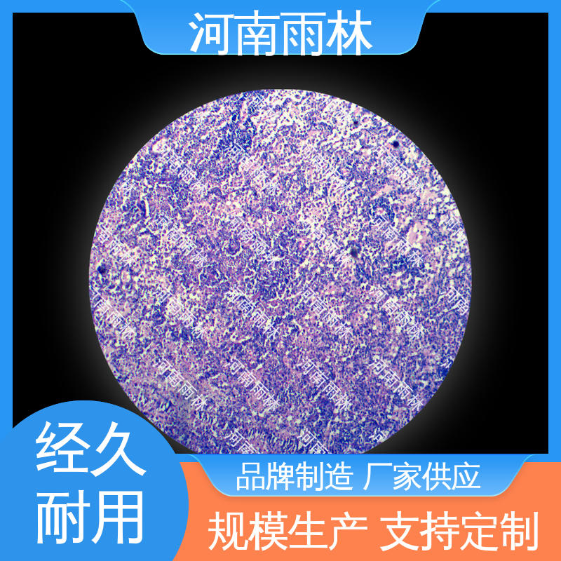 雨林教育 可后期加工 生物切片 细胞清晰 厂家销售