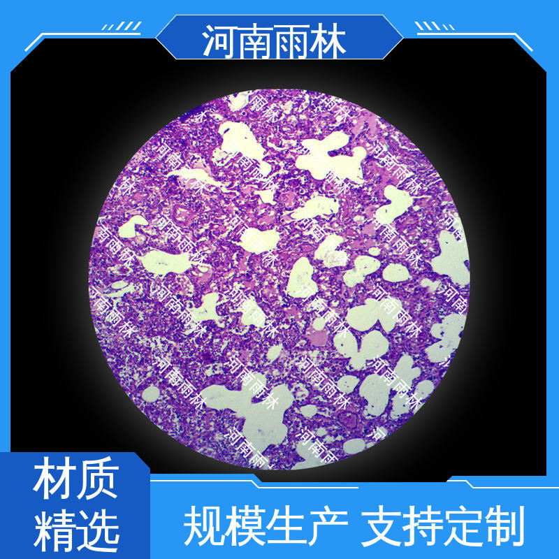 显微切片 品质优良 可提供材料 厂家销售 雨林教育工程