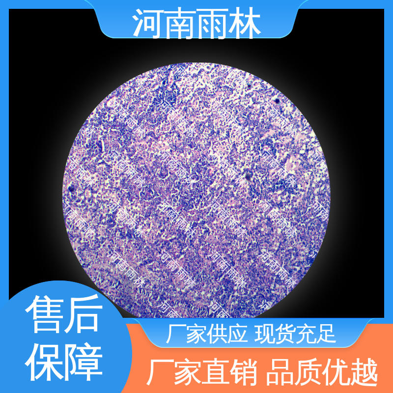病害标本 售后无忧 一对一质检 厂家销售 雨林教育工程
